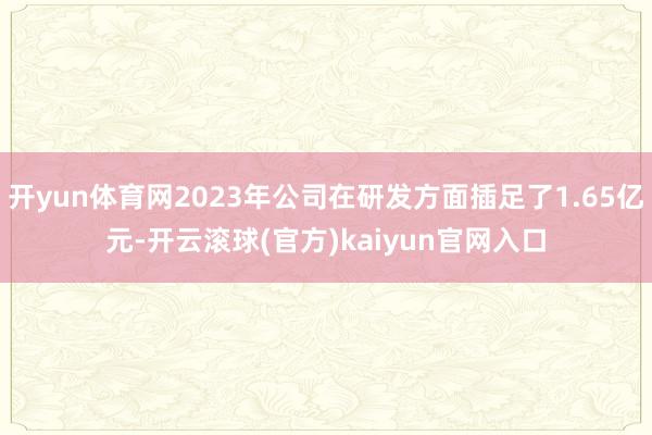 开yun体育网2023年公司在研发方面插足了1.65亿元-开云滚球(官方)kaiyun官网入口