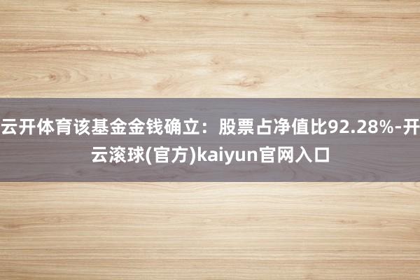 云开体育该基金金钱确立：股票占净值比92.28%-开云滚球(官方)kaiyun官网入口