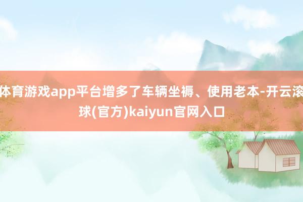 体育游戏app平台增多了车辆坐褥、使用老本-开云滚球(官方)kaiyun官网入口