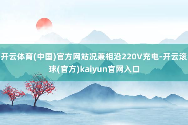 开云体育(中国)官方网站况兼相沿220V充电-开云滚球(官方)kaiyun官网入口