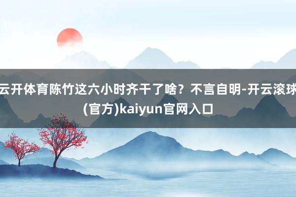 云开体育陈竹这六小时齐干了啥？不言自明-开云滚球(官方)kaiyun官网入口