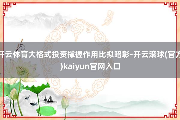 开云体育大格式投资撑握作用比拟昭彰-开云滚球(官方)kaiyun官网入口