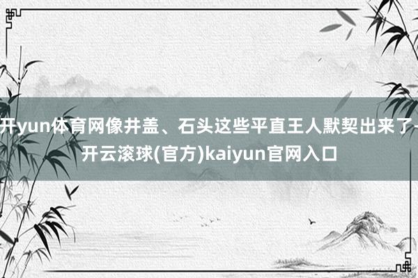 开yun体育网像井盖、石头这些平直王人默契出来了-开云滚球(官方)kaiyun官网入口