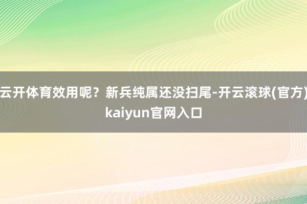 云开体育效用呢？新兵纯属还没扫尾-开云滚球(官方)kaiyun官网入口