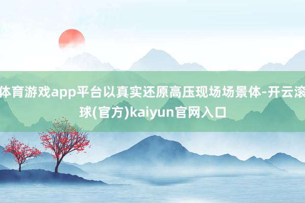 体育游戏app平台以真实还原高压现场场景体-开云滚球(官方)kaiyun官网入口