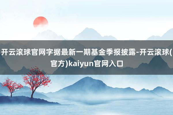 开云滚球官网字据最新一期基金季报披露-开云滚球(官方)kaiyun官网入口