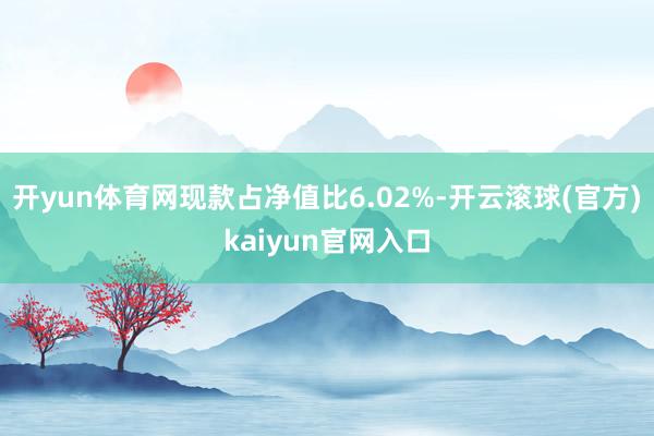 开yun体育网现款占净值比6.02%-开云滚球(官方)kaiyun官网入口