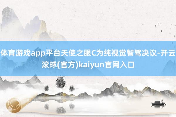 体育游戏app平台天使之眼C为纯视觉智驾决议-开云滚球(官方)kaiyun官网入口