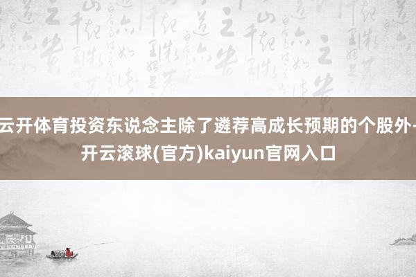 云开体育投资东说念主除了遴荐高成长预期的个股外-开云滚球(官方)kaiyun官网入口